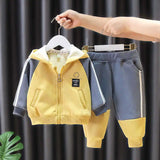 Kids Trendy & Stylish 2Pc Plush Hooded Sweater and Pant Set