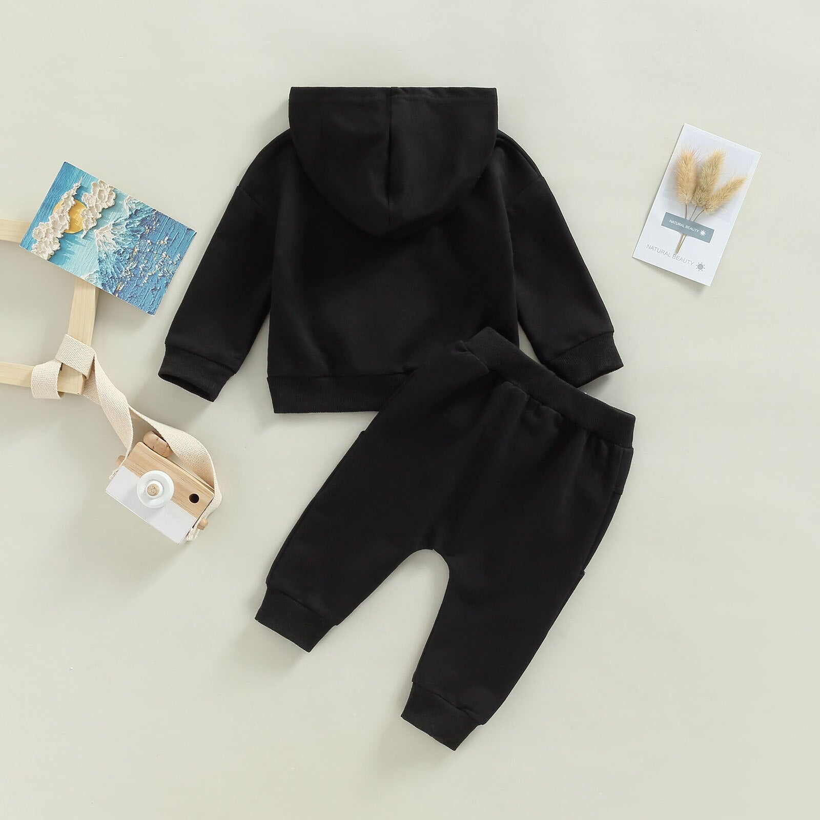 Baby Boys 2Pc Hoodie Set