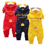 Baby Boys Trendy 2Pc Urban Fashion, Hooded Sweatshirt and pants set