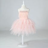 Girls Elegant Fashion Tulle & Tassels Party Dress