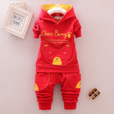 Baby Boys Trendy 2Pc Urban Fashion, Hooded Sweatshirt and pants set