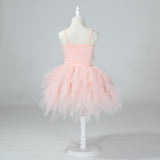 Girls Elegant Fashion Tulle & Tassels Party Dress