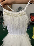 Girls Elegant Fashion Tulle & Tassels Party Dress