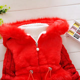 Baby Girls Fashion Plush, Thick & Warm Hooded Sweater Coats.