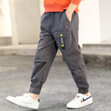 Boys Urban Style Cargo Pants. Various Styles To Choose From