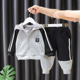 Kids Trendy & Stylish 2Pc Plush Hooded Sweater and Pant Set