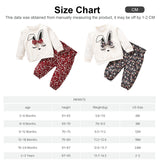 Baby Girls 2Pc Cotton Long-sleeve Cartoon Rabbit Print Sweatshirt and Floral Print Pants Set