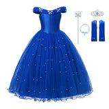 Girl Princess Blue Sleeveless Mesh Ball Gown (and Princess Accessories)