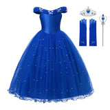 Girl Princess Blue Sleeveless Mesh Ball Gown (and Princess Accessories)