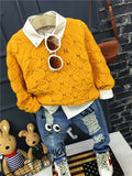 Boys Stylish 3pc Set. Knit Sweater, Shirt & Jeans. Ages 2-6years