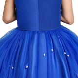 Girl Princess Blue Sleeveless Mesh Ball Gown (and Princess Accessories)