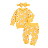 Baby Girl Daisy Print Top, Headband & pants Set. 0-24M