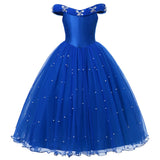 Girl Princess Blue Sleeveless Mesh Ball Gown (and Princess Accessories)