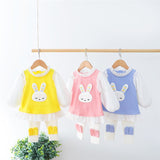 Baby Girls Playful 2Pc "Sleepy Bunny", Ruffle Trim Tunic Dress and Tights Combo.