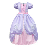 Princess Birthday Party Ball Gown With Puff Sleeve & Accessories.