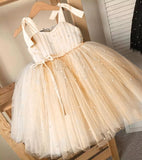 Baby Girl Tutu Party Gown. 1 2 3 4 5 Years.