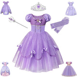 Princess Birthday Party Ball Gown With Puff Sleeve & Accessories.