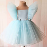 Baby Girls Party Dress