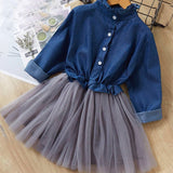 Girls Long Sleeve Denim Mesh Skirt Dress.